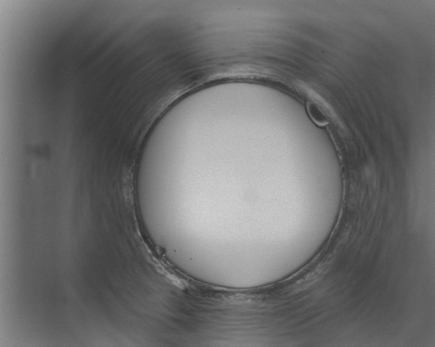 X0000073871329200609071649