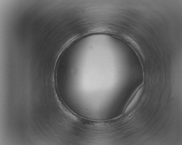 X0000073871330200609071649