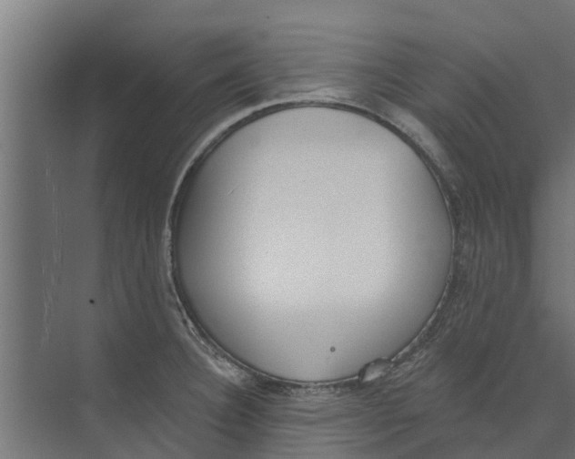 X0000073871332200609071649