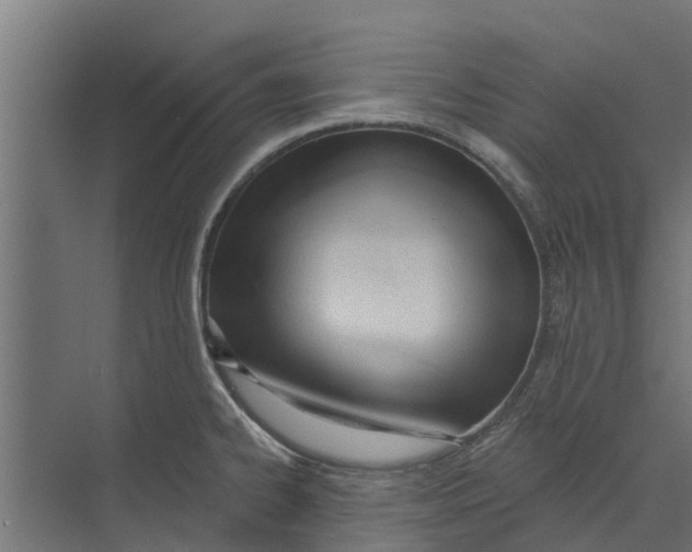 X0000073871334200609071649