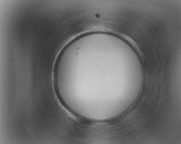 X0000073871335200609071649