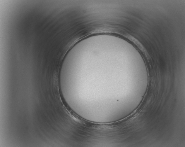 X0000073871337200609071649