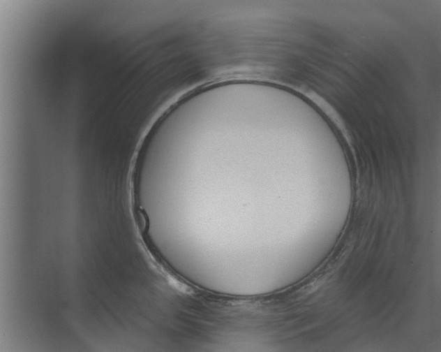 X0000073871341200609071649