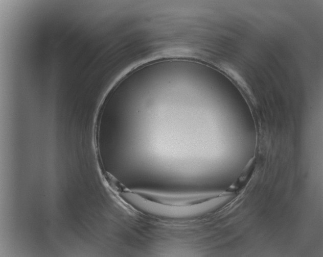 X0000073871342200609071649