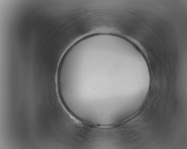 X0000073871343200609071649