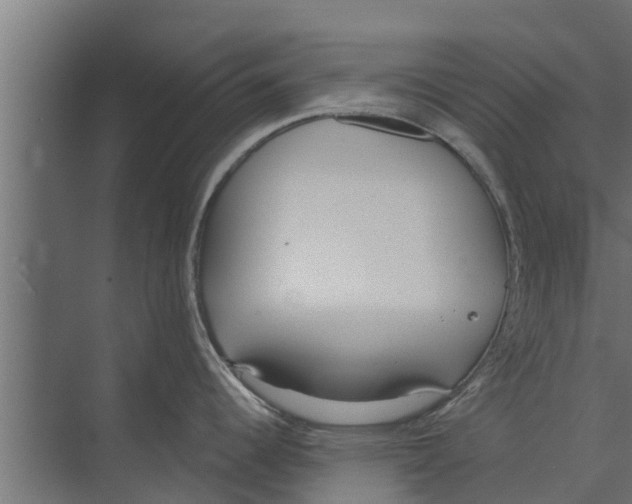 X0000073871344200609071649