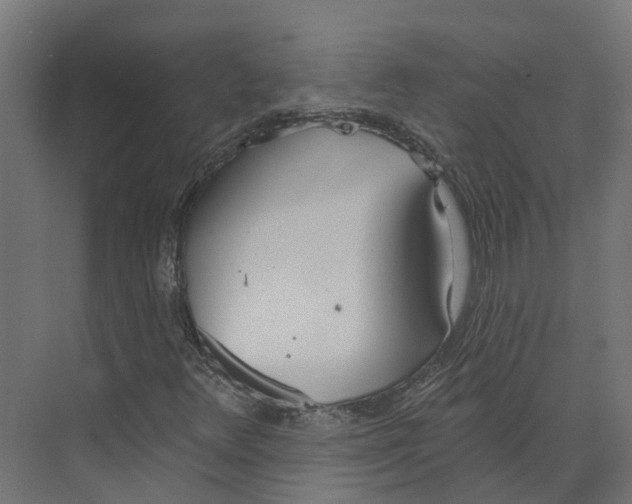 X0000073871348200609071648