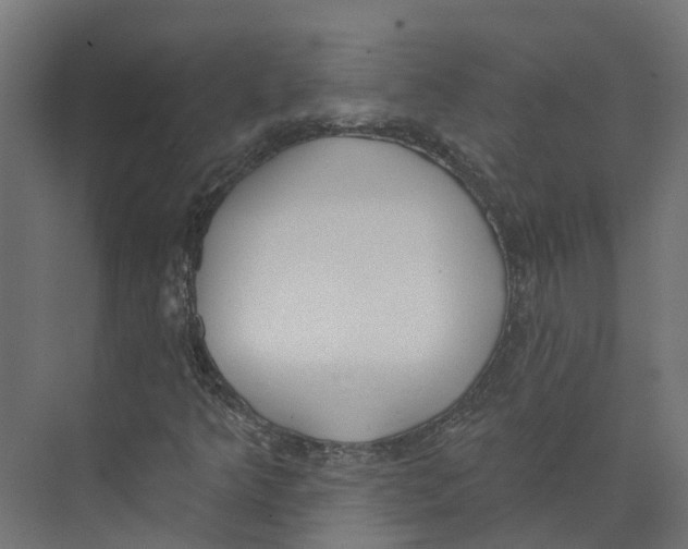 X0000073871349200609071648