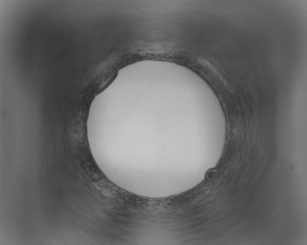 X0000073871350200609071648