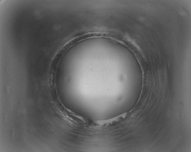 X0000073871352200609071648