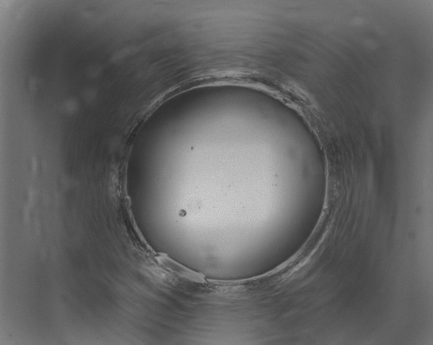 X0000073871353200609071648