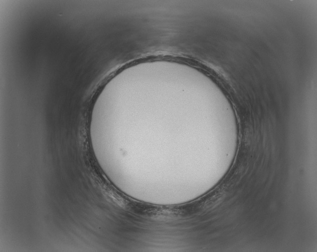 X0000073871359200609071648