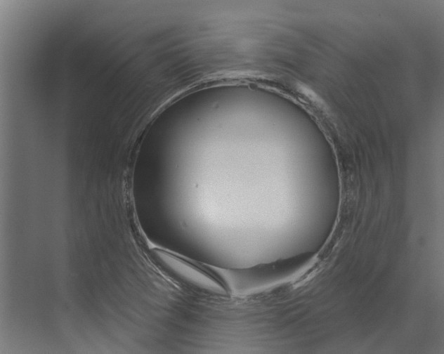 X0000073871361200609071648