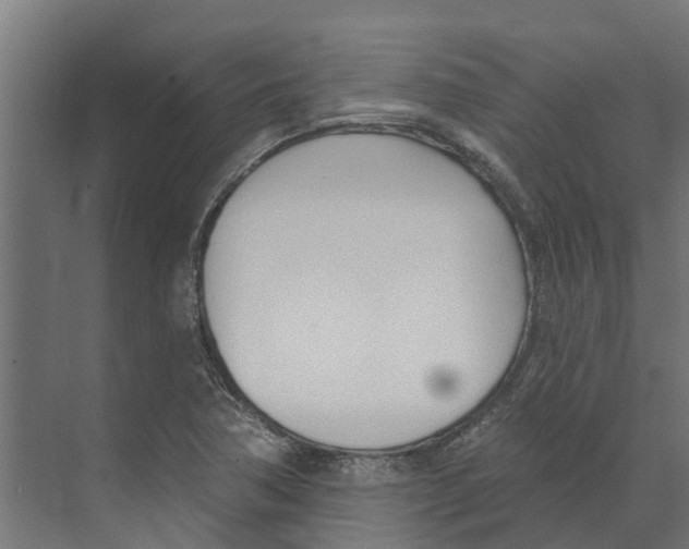 X0000073871362200609071648