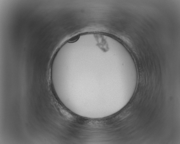 X0000073871366200609071648