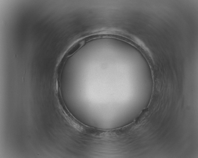 X0000073871368200609071648