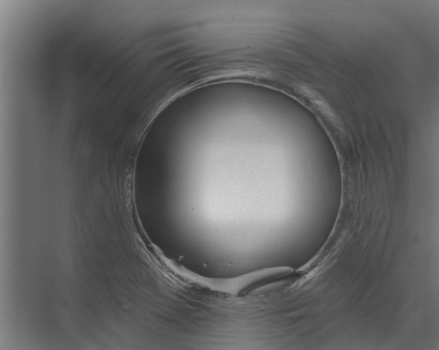 X0000073871369200609071648