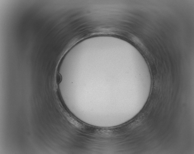 X0000073871370200609071648