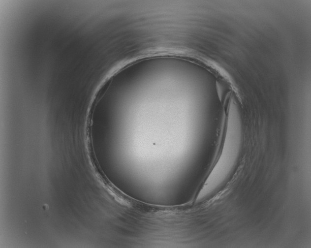 X0000073871373200609071648