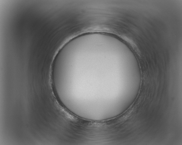 X0000073871374200609071648