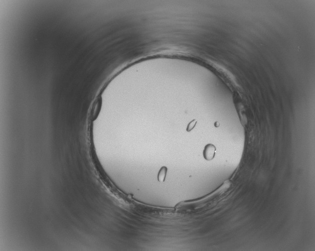 X0000073871375200609071648