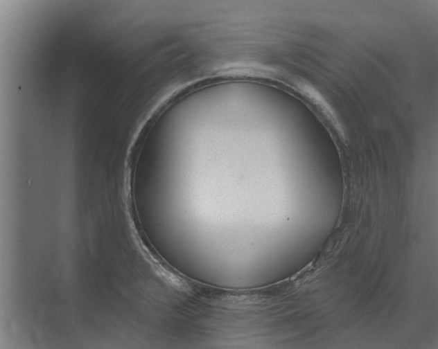 X0000073871376200609071648