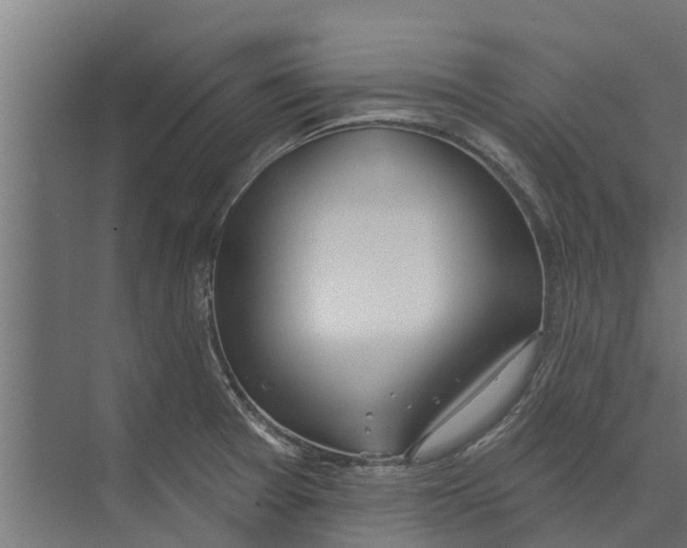 X0000073871377200609071648