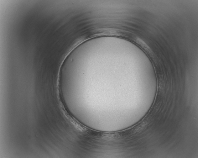 X0000073871378200609071648