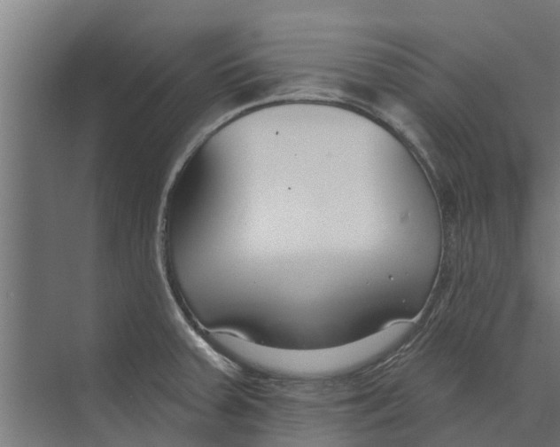 X0000073871379200609071648