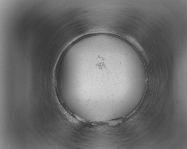 X0000073871380200609071648