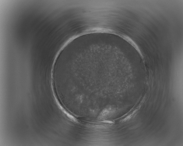 X0000073871381200609071648