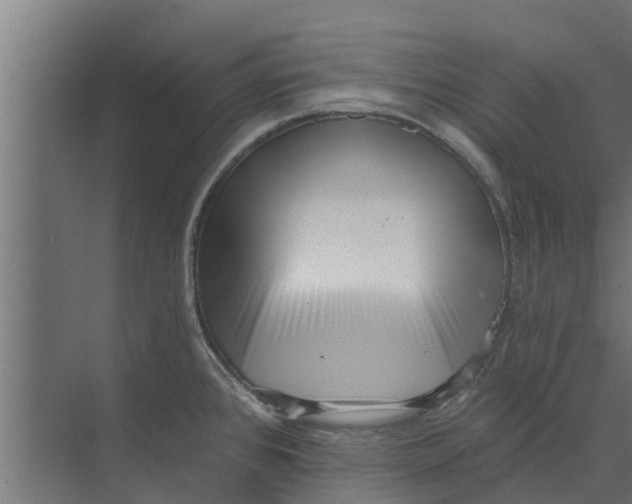 X0000073871384200609071648