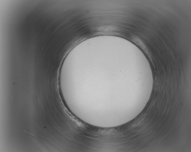 X0000073871386200609071648