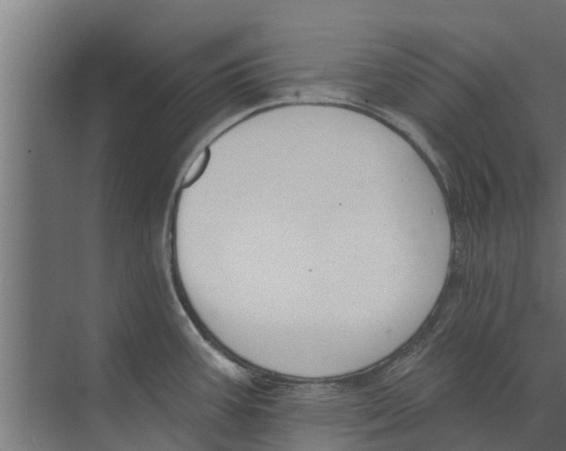 X0000073871387200609071648