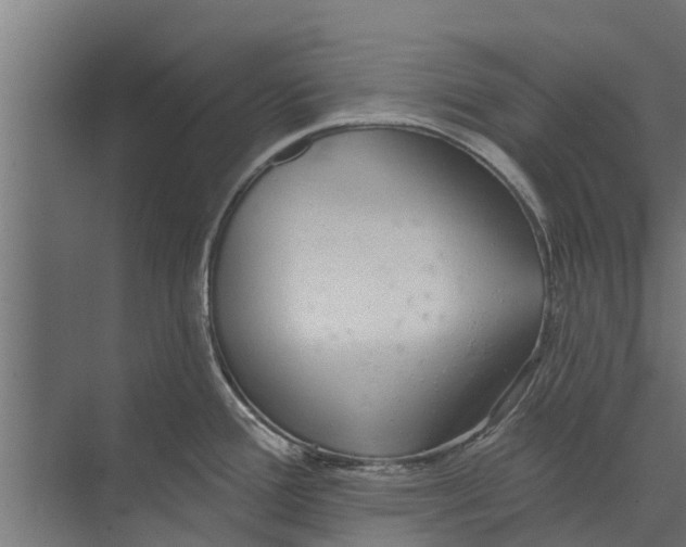 X0000073871388200609071648