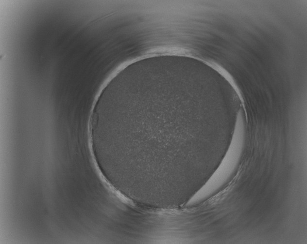 X0000073871389200609071648