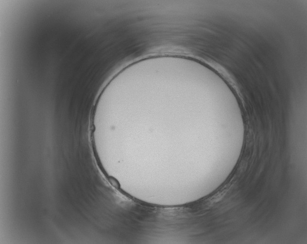 X0000073871390200609071647