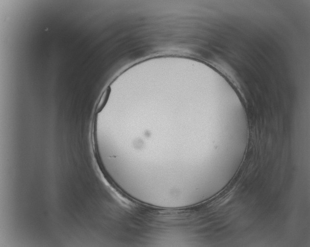 X0000073871391200609071647