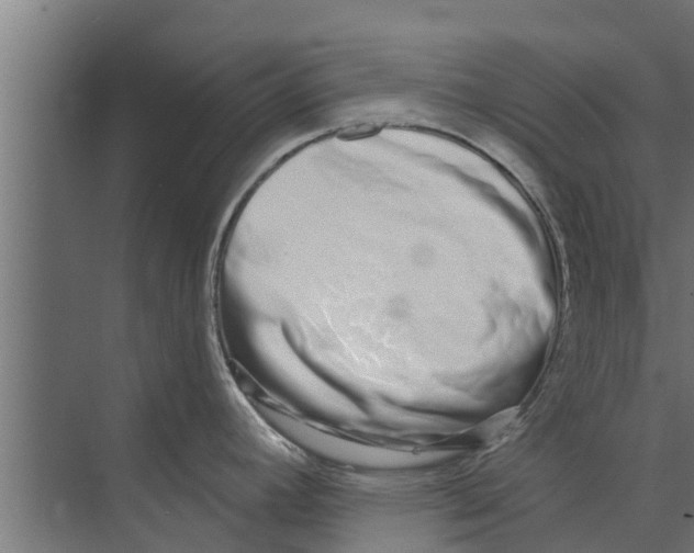 X0000073871392200609071647