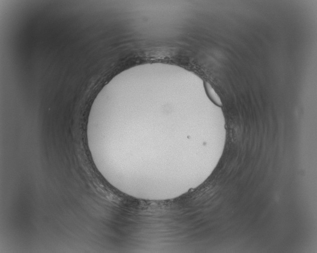 X0000073871393200609071647