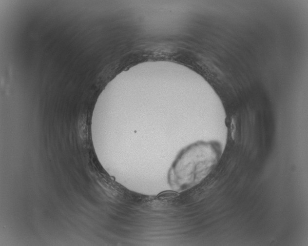 X0000073871395200609071647