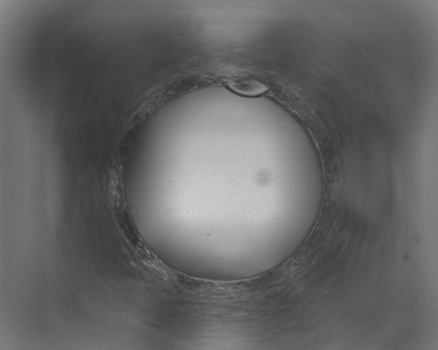 X0000073871397200609071647