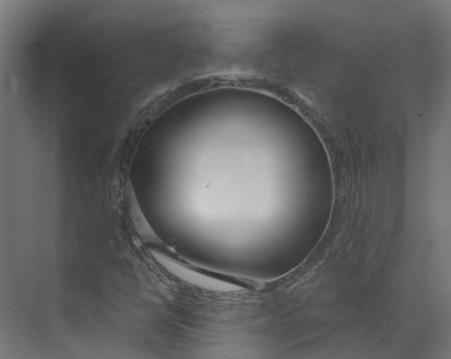 X0000073871398200609071647