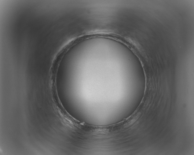 X0000073871406200609071647