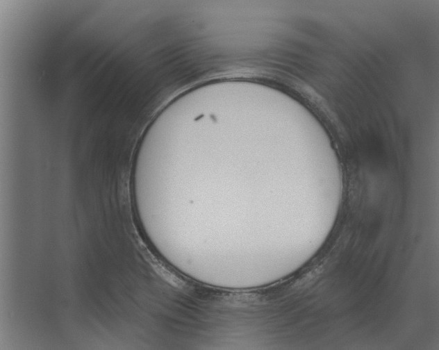 X0000073871417200609071647