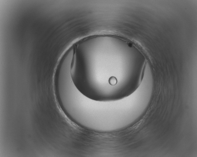 X0000073871422200609071647