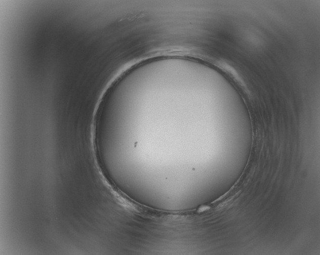 X0000073871424200609071647