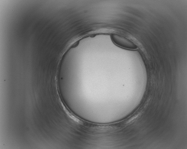 X0000073871425200609071647