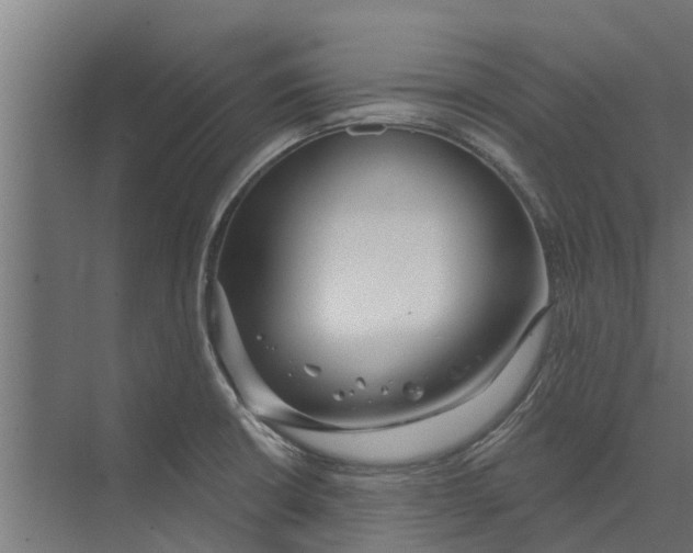 X0000073871426200609071647