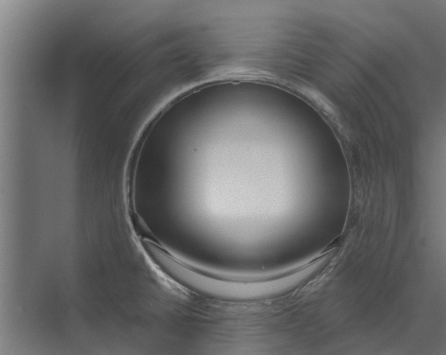 X0000073871430200609071647